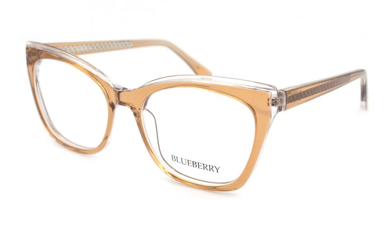 Оправа пластикова Blueberry 8021-C8