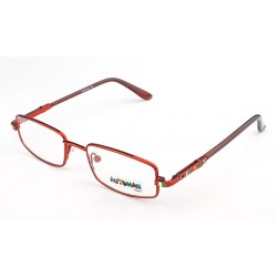 Au1055-C55