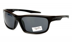 EC8004-C2
