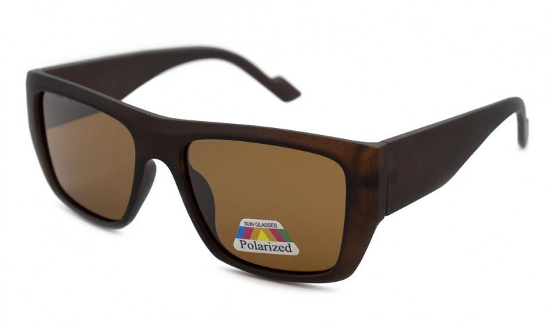 Сонцезахисні окуляри Ventura (polarized) P12622K-C4