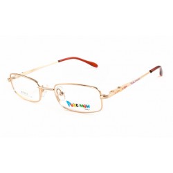 PM921-C1