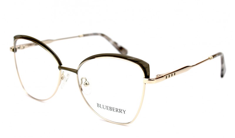 Оправа металева Blueberry TL3632-C2